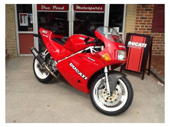 duc