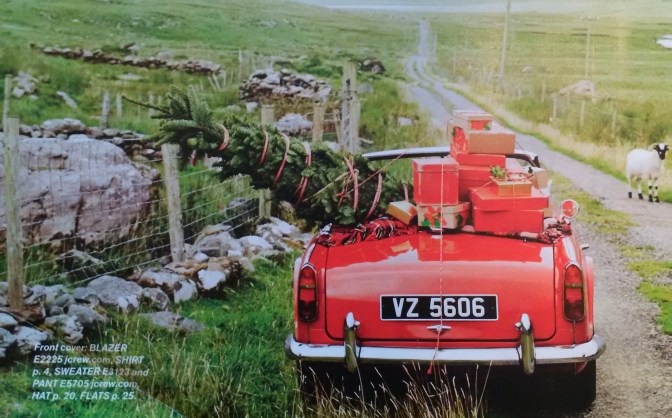 IMG_20151115_125522_edit