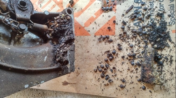 IMG_20190403_1449132